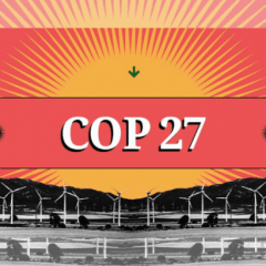 Decepcionante resultado de la COP27 de Egipto.